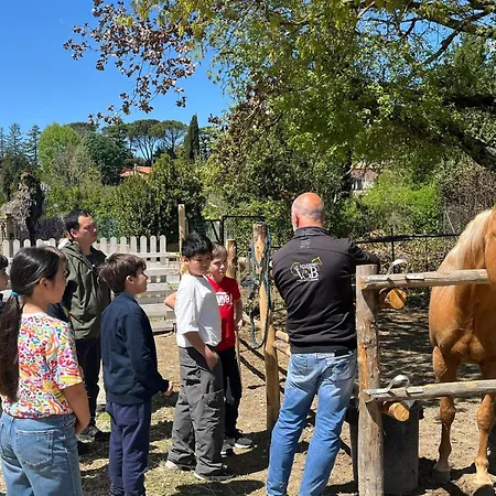Lägenhet Osteria Del Cavaliere E Maneggio