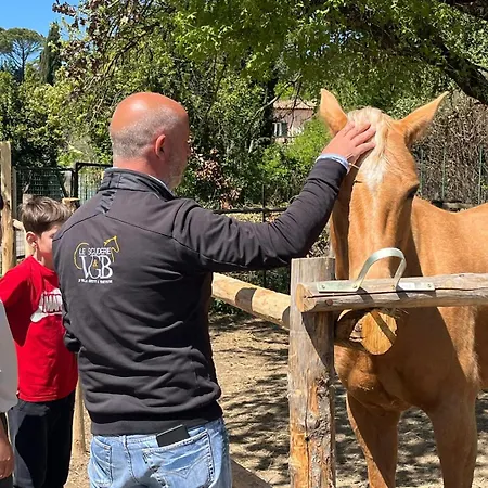Lägenhet Osteria Del Cavaliere E Maneggio Sacrofano