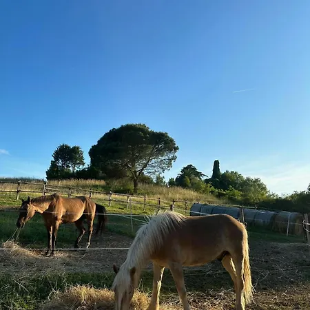 Lägenhet Osteria Del Cavaliere E Maneggio Sacrofano